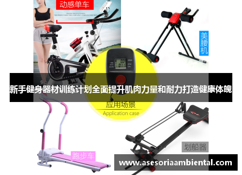 新手健身器材训练计划全面提升肌肉力量和耐力打造健康体魄